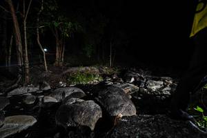 BIB: 
                            <button type="button" onclick="openModal(18617529)" class="btn btn-primary btn-sm float-right btn-popup" data-toggle="modal" data-target=".modal-high-quality">
                        <i class="fas fa-shopping-cart"></i> Add to Cart
                    </button>
                                            <button type="button" onclick="isThisMe(18617529, true)" class="btn btn-success btn-sm float-right btn-popup btn-isme hidden" data-toggle="tooltip" data-placement="bottom" title="นี่คือรูปของคุณใช่ไหม คลิกที่นี่เพื่อเอาเข้าอัลบั้ม">
                        <i class="fas fa-plus"></i> Add to album
                    </button>
                    <button type="button" onclick="isThisMe(18617529, false)" class="btn btn-warning btn-sm float-right btn-popup btn-isnotme hidden">
                        <i class="fas fa-ban"></i> Remove from album
                    </button>